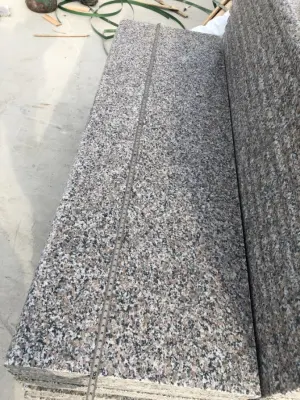 Material de construcción 600 * 600 mm y 300 * 600 mm Escaleras Piedra natural Pulido G361 Azulejo de granito de flor Wulian